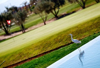 MMI-©-Mourad-Mokrani-Archi-050