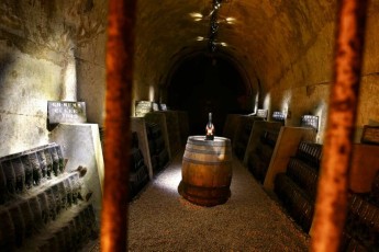 MMI-©-Mourad-Mokrani-Archi-075