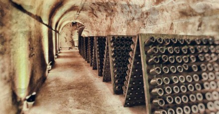 MMI-©-Mourad-Mokrani-Archi-077