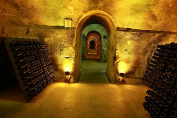 MMI-©-Mourad-Mokrani-Archi-079