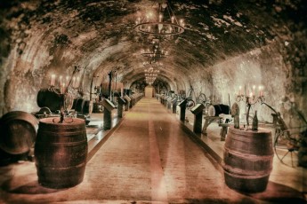 MMI-©-Mourad-Mokrani-Archi-085