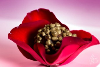 MMI-©-Mourad-Mokrani-Food-55