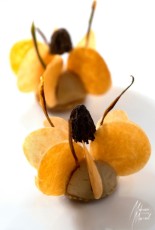 MMI-©-Mourad-Mokrani-Food-57