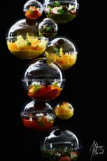 MMI-©-Mourad-Mokrani-Food-91