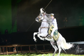 MMI-©-Mourad-Mokrani-Interna-16