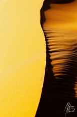 MMI-©-Mourad-Mokrani-MonOeil-25