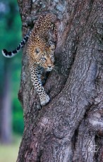 MMI-©-Mourad-Mokrani-MonOeil-5