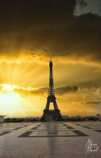 MMI-©-Mourad-Mokrani-MonOeil-55