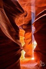 MMI-©-Mourad-Mokrani-MonOeil-71