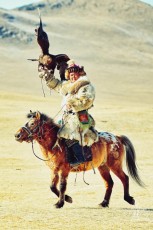 MMI-©-Mourad-Mokrani-Safari-151