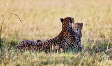 MMI-©-Mourad-Mokrani-Safari-20