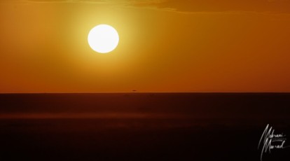 MMI-©-Mourad-Mokrani-Safari-35