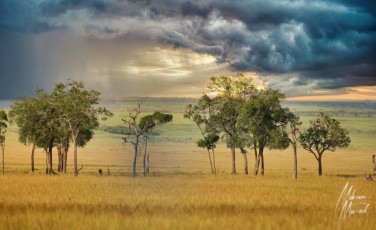 MMI-©-Mourad-Mokrani-Safari-44