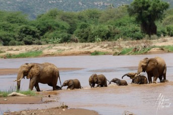 MMI-©-Mourad-Mokrani-Safari-82